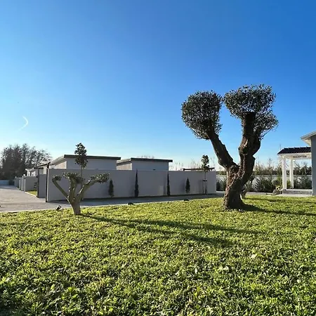Hotel Moonlight 4*